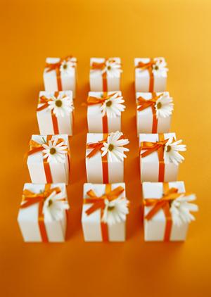 遠隔監視カメラの活用と塚本無線